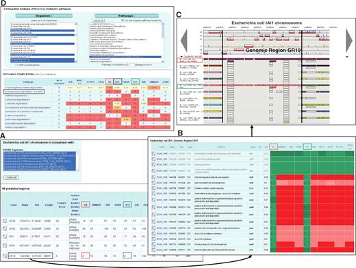 Comparative genomic functionalities in MaGe. A query result of the RGPfinder tool is shown in (A). In this example, E. coli IAI1 is compared with 10 other E. coli strains. A total of 66 regions of genomic plasticity are predicted. These regions are summarized in a table that displays their chromosomal location, the presence of genomic island features, and a specificity score for each compared strains. A detailed view of the predicted regions is available as shown in (B) for the region GR19. This region contains a gene cluster (i.e. the paa-operon) coding for enzymes of the phenylacetate degradation pathway. As shown by the colour code (i.e. green for the presence of a homolog gene, red for the absence), only two others E. coli strains (K12 and HS) share this region with the IAI1 strain. The synteny break points between the E. coli core genome and this metabolic region can be visualized using the cartographic representation of the synteny results (C). On these maps, a rectangle represents a putative homolog in the compared genome and a group of rectangles of the same color indicates a conserved synteny. (D) Shows the ‘Metabolic Profile’ functionality. The metabolic networks of eleven E. coli strains are compared in respect to pathway completion. In this example, only MicroCyc degradation pathways are selected and the pathway completion threshold is set to 0.7. Results are summarized in a table which gives, for the 11 selected strains, completion values for each pathway. Results confirm that the phenylacetate degradation pathway is complete in only three E. coli strains (IAI1, K12 and HS).