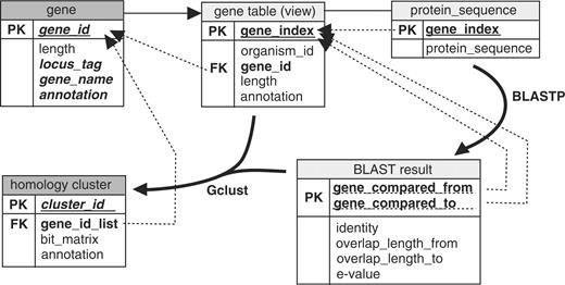 The process of database construction. Each box represents a conceptual object representing the structure of data. The topmost line in each box shows the name of the relational table. PK, primary key; FK, foreign key. Each dotted arrow indicates the relation of an entity to the reference. Bold arched arrows indicate an external operation to produce the relations (the main program names are given near the arrows). Light gray background of the title, transaction (temporary and internal) relation; dark gray background, resulting relation.