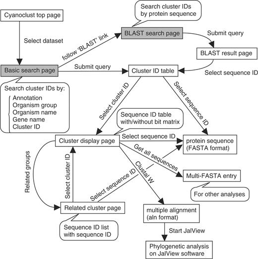Page transition diagram of the CyanoClust web interface. Each box indicates a web page, and each arrow indicates the page transition caused by an action. Each balloon indicates a simplified explanation of the indicated page. The gray boxes indicate the two types of initial search page, which are also linked with each other.