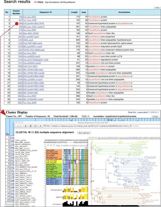 Example analysis of a cluster. The upper figure shows a cluster ID table in a ‘Search Results’ page. Upon clicking the cluster number in the cluster ID table (red circle), a ‘Cluster Display’ page is shown. Below is a stacked view of a ‘Cluster Display’ page, a multiple alignment, and a dendrogram driven by the program Jalview. In the ‘Cluster Display’ page, a bit matrix is used to show the similarity of homologs for small clusters (hidden behind other windows in this example), but only a list is shown if the cluster size is large.