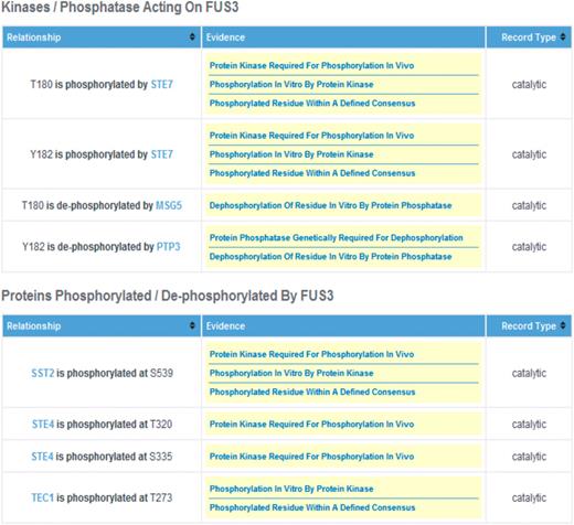 Screen shot of the Fus3 PhosphoGRID page. Details of relationships between phosphorylated residues and specific protein kinases and phosphatases are displayed in a second table for each gene product. Additionally, for protein kinases and phosphatases themselves, a summary of known substrate sites, with links to the relevant gene product is presented in an additional table (not shown).