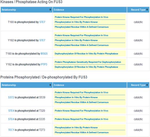 Screen shot of the Fus3 PhosphoGRID page. Details of relationships between phosphorylated residues and specific protein kinases and phosphatases are displayed in a second table for each gene product. Additionally, for protein kinases and phosphatases themselves, a summary of known substrate sites, with links to the relevant gene product is presented in an additional table (not shown).