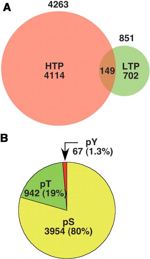 (A). The number of individual phosphorylation sites listed in PhosphoGRID version 1.0 identified by HTP mass spectrometry-based studies (red) and focused LTP studies on individual proteins (green). (B). The proportion of PhosphoGRID entries representing phosphoserine, phosphothreonine and phosphotyrosine residues.