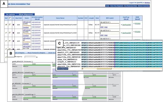 MGAT: multi-genome annotation tool. (A) Display of annotation identification features, calculations and evidence for all genes associated with a protein cluster. (B) Synteny display of the protein cluster. (C) Multiple alignment of the protein cluster.