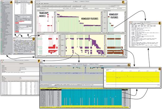 A selection of interface elements of the Otterlace/Zmap annotation system. (A) Column/track selection window. This allows user to choose tracks (features) to load and display, including DAS sources. (B) Transcript editing window allows annotator to edit exon structure and transcript and locus attributes. (C) Zmap is the graphical viewer showing the genomic features of choice such as manually annotated transcript models (red and green boxes, left panels), EST homology (pink boxes, middle panels) and mRNA homology (brown boxes, right panels). (D) Window showing the protein translation of a coding transcript model; can be used to edit the CDS. (E) EMBL nucleotide database files of homology features are accessible directly from Zmap (C) and Blixem (G). (F) Feature detail window shows for example all the hits of an EST within the segment of the genome under examination. (G) Blixem interface for viewing multiple sequence alignments at nucleotide or amino-acid level. (H) Dotter interface for viewing on-the-fly pairwise unmasked sequence alignments; accessible through Zmap (C) or Blixem (G).