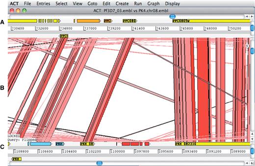 ACT comparison view showing a section of annotated Plasmodium falciparum 3D7 chromosome 3 at the top and the orthologous region of Plasmodium knowlesi strain H chromosome 8 at the bottom. (A) Artemis main view sequence panel. (B) The Comparison view. This panel displays the regions of similarity (TBLASTX comparison) between two sequences. Red blocks link similar regions of protein with the intensity of red color directly proportional to the level of similarity. (C) Main sequence view panel of the query sequence.