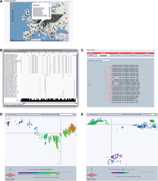 OpenFluDB analysis tools. (A) The Google Maps API is used to position sample collection on a world map. MSA are computed with MUSCLE and displayed with Jalview (B) and as a tree with PhyloWidget (C). SSMs of hemaglutinin nucleotide sequences are computed by multidimensional scaling, and projections on the first two principal dimensions are displayed. (D) Human H3N2 sequences are colored based on year of sample collection revealing a genetic drift of the sequences. (E) H1 sequences are colored by host species. Three main clusters are revealed: human, swine and avian. Red highlighted sequences from the recent human swine H1N1 lineage are located near the swine cluster.