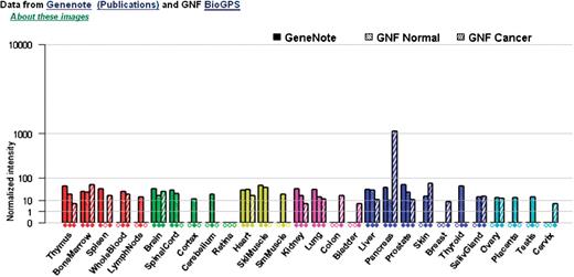 Enhanced experimental tissue vectors, now including our GeneNote data integrated with normal and cancer data from the Genomics Institute of the Novartis Research Foundation (GNF).