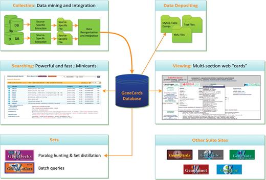 GeneCards architecture and data flow, including offline data collection/ integration and quality assurance processes, relational database, sophisticated search engine and set-centric GeneALaCart and GeneDecks subsystems.