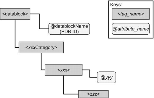Basic structure of PDBML. Every PDBML file is enclosed in the `datablock' element with which the `datablockName' attribute indicating PDB ID is associated. Inside the datablock element, there are a number of elements corresponding to mmCIF category groups enclosed in the tags `xxxCategory' where xxx indicates one of the mmCIF category. There is only one xxxCategory element for each category group (`xxx' can be `entity', `citation', `struct' and so on). Inside an xxxCategory element, there are one or more elements enclosed in the xxx tag (this `xxx' is the same as in `xxxCategory' up in the hierarchy). For each xxx element, there are usually one or more attributes (denoted `@yyy' in the figure) which indicates the identifier of that element (e.g. `@id' in the entity, citation categories and `@entry_id' in the struct category). These attributes serve as the primary key for each category element. Under the xxx element, there are elements (denoted zzz in the figure) that are specific to the category (e.g. `pdbx_description' in the entity category, `pdbx_database_id_PubMed' in the citation category and `pdbx_descriptor' in the struct category). In the mmCIF dictionary, the attributes (such as `@yyy') and elements (such as `zzz') are referred to as items.