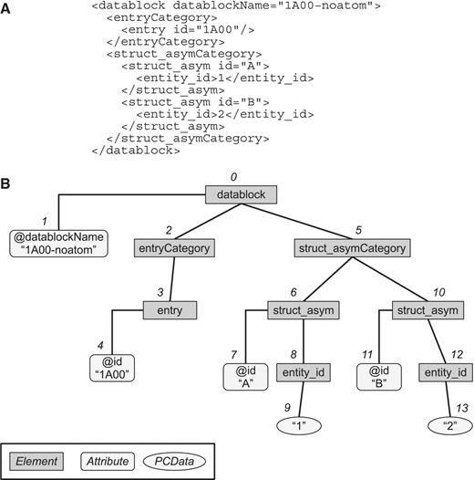 Document tree representation. (A) A sample PDBMLplus (XML) document. (B) The tree representation of the document in (A). Each element, attribute, or PCData is uniquely indexed with a pointer (from 0 to 13 in this example) according to the tree structure in the depth-first order.