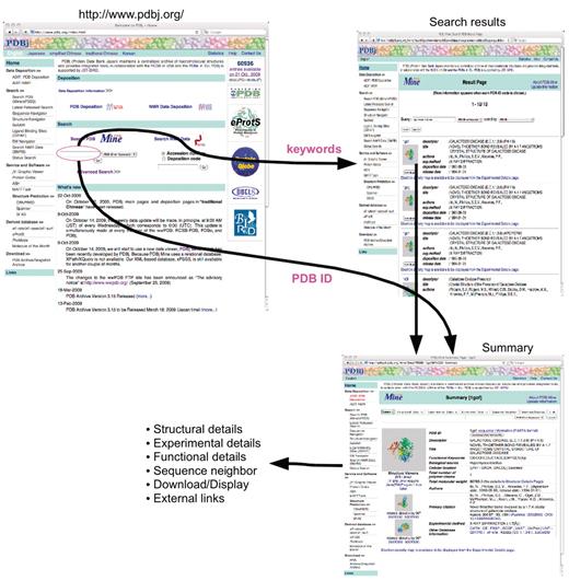 Entry retrieval and keyword search. From the PDBj top page, the user can input PDB ID, keywords, author names and subsequence of polymers (top left). When there are multiple hits to the query, a list of matching entries (search results) is returned (top right). When only one hit is found as in the case for PDB ID search or when an entry is selected in the search results, the summary page for the corresponding entry is shown (bottom right) from which other detailed pages (Structural, Experimental and Functional Details as well as Download/Display, and External Links) are linked.