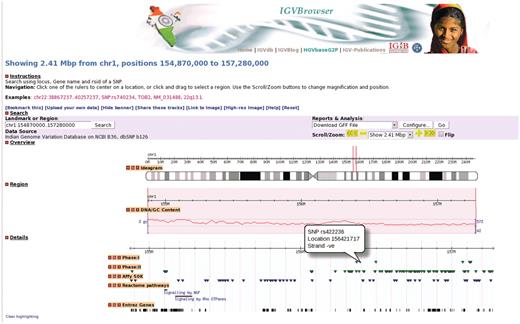A representative example of IGVBrowser. Distribution of markers in 2.41 Mb region in human chromosome 1 from IGVC data is displayed along with annotation data from different resources.