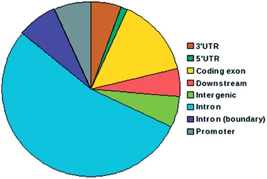 Pie chart depicting distribution of SNPs in IGVC according to genomic location. More than 50% of the SNPs belong to intronic regions and 15% are in coding exons.