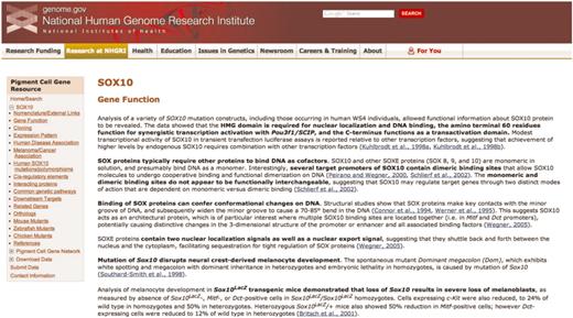 A representative page from the annotated literature section for SOX10 of the Pigment Cell Gene Resource. The navigation sidebar at left includes the 17 literature summary subcategories; each of these categories is located on a separate page. Links to PubMed abstracts for each summarized article are in blue, and bold text indicates the main points of the summary. The navigation sidebar also contains links to access the Pigment Cell Gene Network, to submit data directly and to download data.