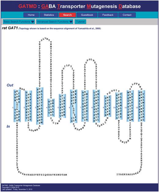 Screenshot of GATMD ‘Search’ page. The topology diagram of GAT1 shown corresponds to the sequence alignment of Yamashita et al. (41). Out and In refer to the extracellular and intracellular space, respectively. Cylinders (numbered 1–12) correspond to alpha helical, membrane-spanning regions. Transmembrane domains 1 and 6 contain unwound regions as suggested by the crystal structure of the related bacterial leucine transporter, LeuTAa (41). Each residue is depicted by its one-letter amino acid symbol. For each of the 599 residues, a hyperlink is provided, which will retrieve all database experimental records associated with that residue. Additional search features of the database may be accessed under the ‘Basic Search Functions’ and ‘Advanced Search Functions’ menus. A tutorial is also available.