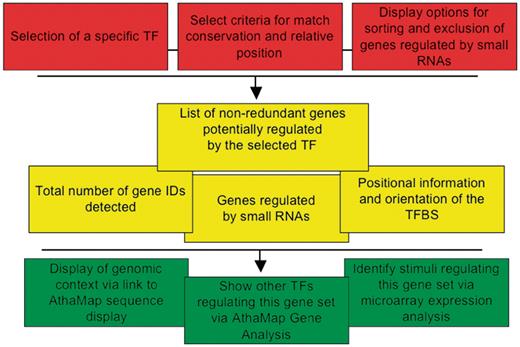 Schematic representation of the ‘Gene Identification’ function. The first level (red) shows user-selected parameters, the second level (yellow) shows results and the third level (green) shows further options for data analysis.