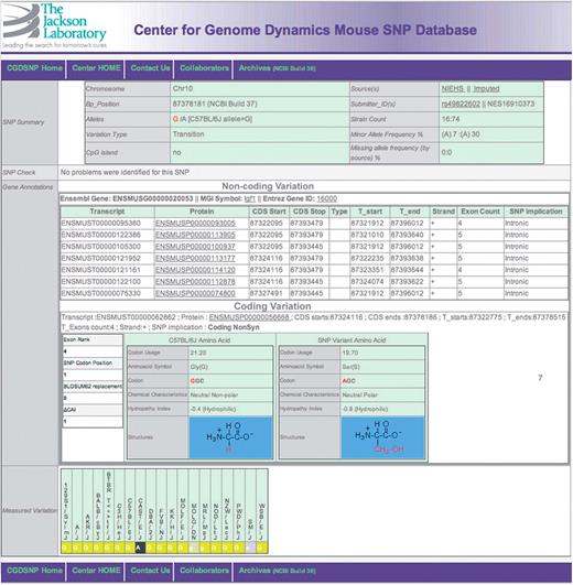 A screen capture for the SNP detail page, showing SNPs within the bounds of a transcript, whether in an UTR, intron or CDS. If multiple transcripts have been annotated for a given gene, the results are grouped by whether the change is within the coding sequence. A detail page for intergenic SNPs is available as Supplementary Figure S4.