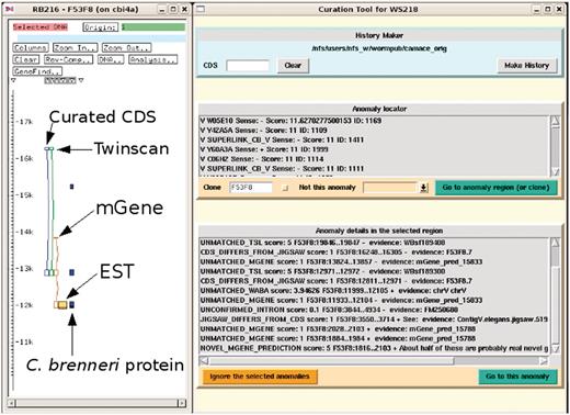 Screenshot of the curation system (to the right) in action with the ACeDB FMAP editor (to the left) displaying a simplified and annotated view of a typical anomaly of a curated CDS structure together with the structures predicted by Twinscan and mGene. There is evidence from the mGene prediction, EST alignment and a weak C. brenneri protein homology for an extra exon at the 3′-end. The curation system has been set to find all the anomalies in the clone F53F8 and some of these can be seen in the list at the bottom. Many of these anomalies are currently outside of the current FMAP view, which is centred around the CDS F53F8.7.