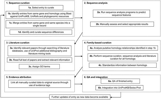 Flow diagram showing an outline of the UniProtKB manual curation process.