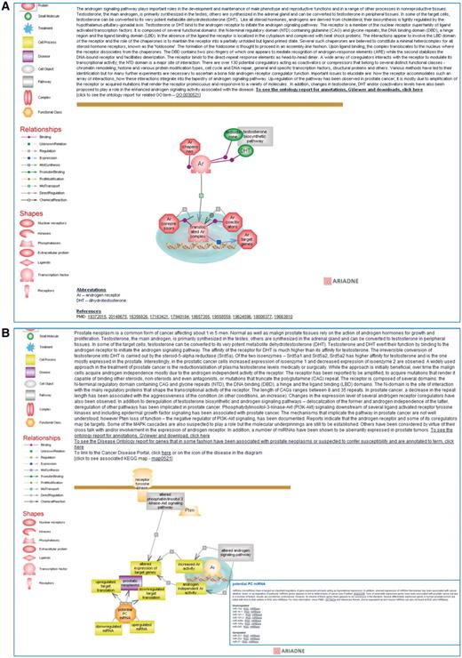 Shows a partial view of the interactive diagram page for the ‘androgen signaling pathway’ (A) and for the ‘prostate cancer pathway’ with the inset showing the list of miRNAs of potential interest in prostate cancer which can be accessed by clicking on the functional class icon (B).