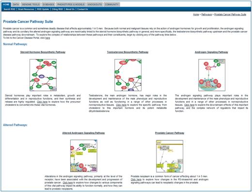 Shows the Prostate Cancer Pathway Suite.