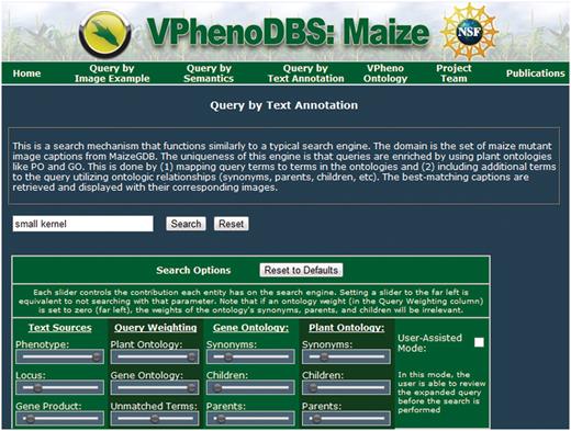 Query interface for the multi-source ontology-based retrieval engine for maize mutant phenotypes.