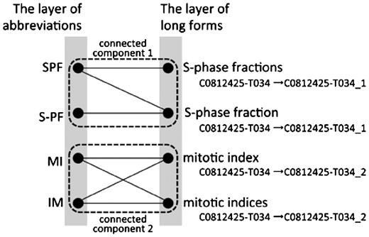 A part of a bipartite graph used in Allie. GENA gives the concept ID ‘C0812425-T034’ to ‘S-phase fractions’, ‘S-phase fraction’, ‘mitotic index’ and ‘mitotic indices’. Allie changes the ID to one that corresponds to each cluster using connected components of the graph.