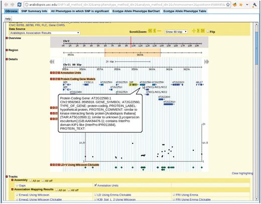 View for the SNP selected in Figure 7. There are five tabs in the view. First tab, GBrowse, is a close-up of the association around the SNP. The ‘SNP Summary Info’ tab lists the position, P-value, annotation of the SNP. The ‘All Phenotypes in which SNP is significant’ tab lists other phenotypes in which this SNP is among the top 1000 associations. The ‘Ecotype Allele Phenotype BarChart’ is described in Figure 9. The ‘Ecotype Allele Phenotype Table’ is a table listing which accession carries which allele and the corresponding phenotype. This example is from http://arabidopsis.gmi.oeaw.ac.at:5000/SNP/?call_method_id=32&amp;phenotype_method_id=2&analysis_method_id=1&chromosome=2&position=9588685&score=10.1255444864.