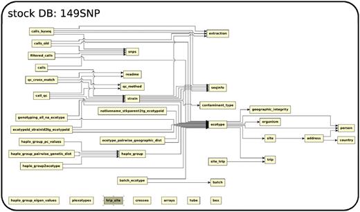 The relationship among tables in subdatabase stock.
