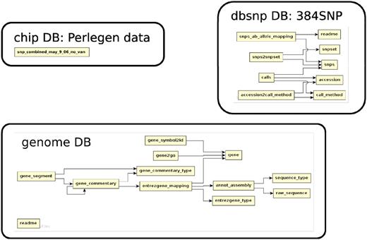 The relationship among tables in subdatabase chip, dbsnp and genome.