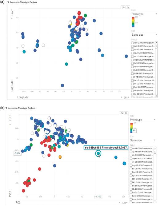 (a) Phenotype for each accession, represented by dots, plotted by longitude and latitude. The plot is visualized through Google Motion Chart. (b) Change the two axes in (a) to the first two principal components from PCA analysis on the genotype matrix. Mouse-over or clicking each dot in the chart displays the information for that accession. This dynamic widget is available in any phenotype page. The example used here is at http://arabidopsis.usc.edu/DisplayResults/showGWA?call_method_id=32&phenotype_method_id=1.