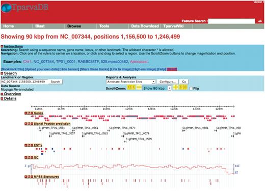 A representative example of the GBrowse interface. Tracks display information on annotated genes, predicted signal peptides, mapped ESTs, %GC content and MPSS signatures in a region of Chromosome 1.