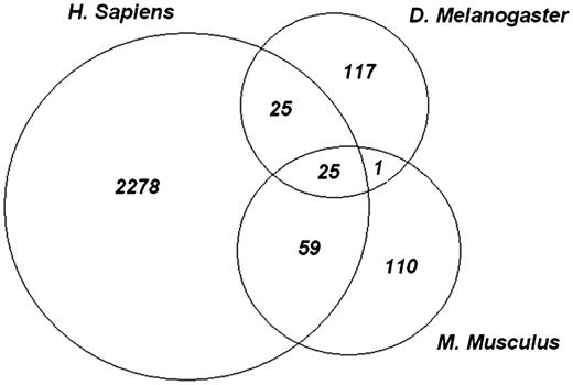 Evolutionarily conserved phosphosites. Each of the experimental phosphopeptide data sets were mapped onto conserved domain-specific hits and the site positions on the domain models were examined for overlap. The Venn diagram shows the number of sites that overlap between each species and among all three species. Twenty five highly conserved phosphorylation sites are shared by all species.