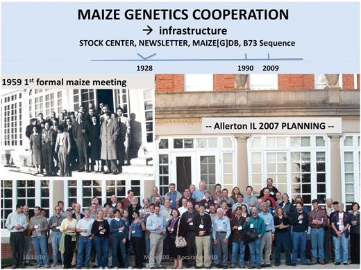 The maize genetics cooperation, 1928–2009. The top timeline depicts the establishment of a Stock Center and Newsletter in 1928, followed by funding for MaizeDB in 1990, and then the 2009 release of the B73 reference genome sequence. The leftmost inset shows the participants of the first formal Maize Genetics Meeting, at Allerton, IL in 1959 [photograph courtesy Earl Patterson and the Newsletter (57)]. The color photograph [courtesy anonymous photographer, and the Newsletter (58) depicts the subset of the current maize research community that convened in 2007, at Allerton, IL to plan infrastructure needs. This 2007 meeting included representatives of MaizeGDB (CJL, MLS, Trent Seigfried).