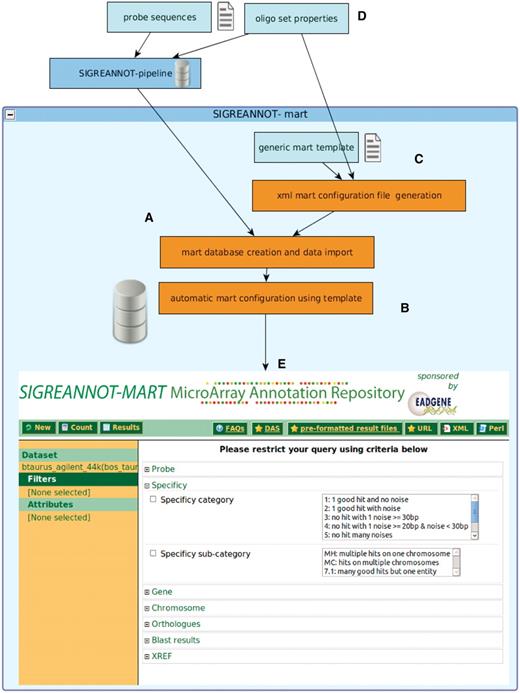 Annotation pipeline, BioMart integration and SigReannot-mart query interface. The management of the probe annotation processing pipeline and the biomart environment are centralized and automatized to allows efficient biomart configuration for multiple data sets with limited human intervention. The BioMart database is directly created and populated at the end of the annotation pipeline (A), then the BioMart configuration is automatically generated (B) using an XML file created from a generic template (C) and probe set properties (D). The SigReannot-mart data set can be filtered by user queries from a web page (E). Many attributes can be used as filters like probe specificity, Gene hits, chromosome hit location or orthologs.