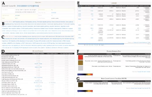 Gene Report for KRAS includes: (A) Gene annotation data from Ensembl, Pathway annotation from (B) KEGG and (C) Reactome, (D) Summary of mutation frequencies in each cancer project, (E) Mutation data from COSMIC, Expression data from (F) Pancreatic Expression Database and (G) Breast Cancer Campaign Tissue Bank (BCCTB). Different sections of this page come from federated BioMart sources.