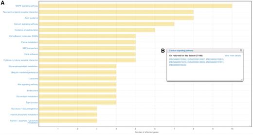 Results from affected pathways analysis for breast cancer (JHU, US). (A) Affected pathways are shown in a chart, with bars representing the number of affected genes in each pathway. (B) By clicking on the bar, users are able to view and download the genes that were mutated in each pathway.