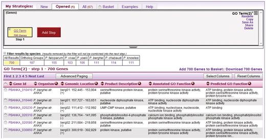 A single-step strategy. This is what the user sees after running a new search, in this case a search for genes by GO term. The user clicks the Add Step button (red) to add another search to the strategy.