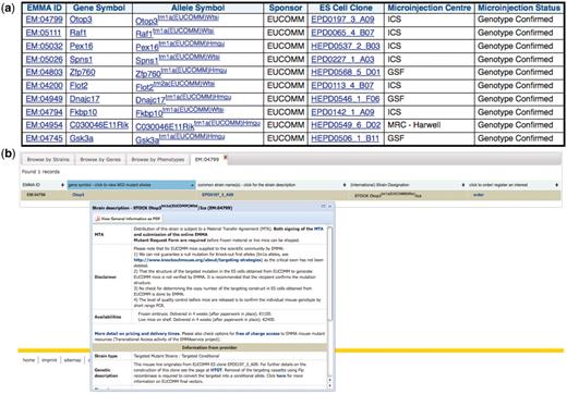 Distributed EMMA lines that have passed Southern blot quality control at a distribution center: (a) results of a query involving the dataset from the mouse distribution dataset at the European Mouse Mutant Archive (EMMA) and the IKMC mouse production dataset, (b) further detail of one of the mouse lines at the main EMMA website after linking from one of the above results.