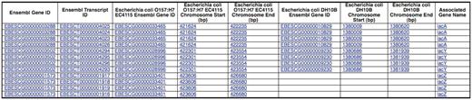 The genes in the filtered region were lacA, lacY and lacZ and we can see that there are no orthologs for the lacZ gene in the E. coli DH10B strain.