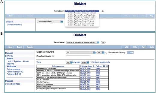 Reactome BioMart Canned Query. (A) The canned query selector allows the user to choose from one of the currently available queries. (B) The results table for the canned query.