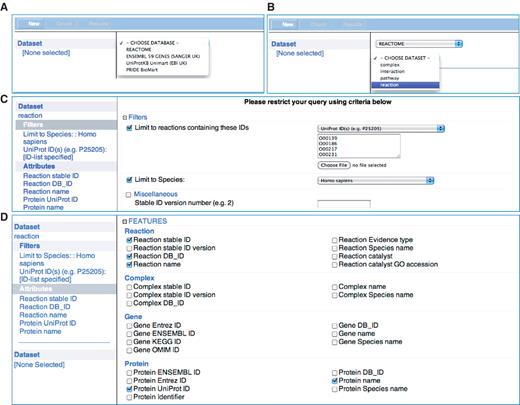 Reactome BioMart Regular Query. (A) The ‘database’ selector selects the REACTOME database. (B) The ‘dataset’ drop-down menu. (C) The ‘filters’ page that allows the user to narrow down the query to the UniProt identifiers provided and human annotations. (D) The reaction ‘attributes’ that determines the columns to be displayed in the results table.