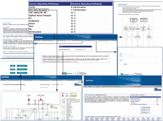 An overview of NetSlim. The NetSlim home page has options to browse the pathway maps. A description of the criteria used for NetSlim is available as a separate tab. Choosing a pathway such as the TGF beta signaling pathway, the ‘Pathway map’ tab provides access to the TGF-β NetSlim pathway map image and the ‘Description’ tab which has a brief description of the pathway. The ‘map with citation’ provided in the NetSlim pathway page contains molecules linked to specific NetPath molecule pages and their reactions linked to their corresponding citations. NetSlim maps can be downloaded in different file formats from specific pathway pages. The NetSlim data is also available to download in BioPAX, PSI-MI and SBML formats. A ‘Feedback’ page allows users to provide comments about the NetSlim resource. A link to NetSlim is provided on each pathway page in NetPath and vice versa.