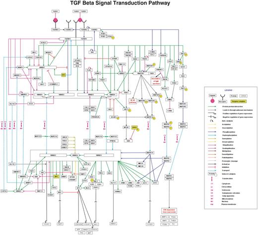 TGF-β pathway in NetSlim. The TGF-β pathway map represents the molecular reactions induced by the binding of TGF-β 1 to TGF-β receptor complex. The annotated NetSlim pathway for TGF-β possesses 121 proteins involved in 252 reactions with 173 molecular associations, 60 enzyme catalysis reactions and 19 translocation events. The nodes and edges represent the molecules and their reactions, respectively. A key for the various symbols, colors and abbreviations used in the pathway diagram is provided.