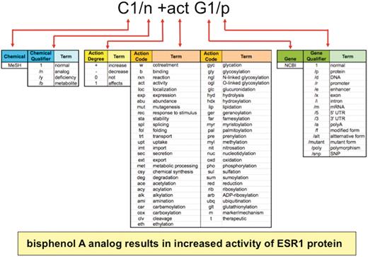 Anatomy of an interaction. Biocurators curate data in structured notation (top) by conjoining terms from multiple vocabularies (middle), including the chemical branch of MeSH, 4 chemical qualifiers, 4 action term degrees, 55 action terms, NCBI gene symbols and 16 gene qualifiers. Multiplexing these short lists allow exponential combinations. Here, the biocurator additionally chose bisphenol A for C1 and ESR1 for G1 to complete the interaction. The notation is translated and displayed as a sentence on public CTD (yellow box).