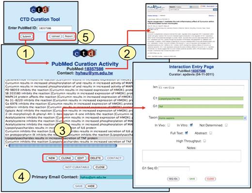 Curation tool overview. (1) Biocurators submit a PMID to create a ‘PubMed Curation Activity’ page. (2) This page has a hyperlink to the PubMed abstract, which the biocurators use for curation. (3) Based upon the abstract, biocurators can then enter new interactions, edit pre-existing interactions, or clone interactions (to modify any data field to generate a new interaction without having to re-enter all the fields each time). On the ‘Interaction Entry Page’ biocurators construct the interaction using structured notation and mnemonic codes and fill in the necessary data fields. Additional internal data not yet currently displayed on the public website can also be selected, including: in vivo versus in vitro methods, full-text versus abstract curation (to help with subsequent text-mining evaluations), if the curation was derived from a high-throughput assay, any type of gene accession ID and curator notes (for any other helpful comment about the curation). (4) When available, the email address of the corresponding author is stored. (5) Additional features allow the biocurator to upload data en masse from an Excel spreadsheet or generate a report of their previously submitted work.