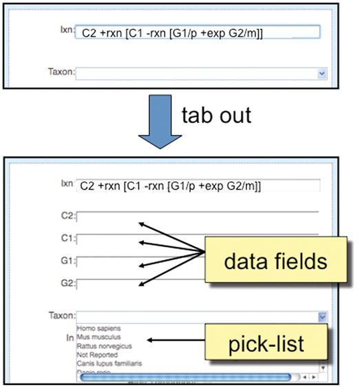 Detailed view of ‘Interaction Entry Page’. After a biocurator composes a new interaction and tabs out of the cell, the curation tool automatically pops up the required data fields (here, C2, C1, G1 and G2) to correctly complete the interaction. Since ‘Taxon’ is a requirement of all interactions, it is always displayed in the curation tool window, and biocurators can either use a pick-list to select the most commonly entered species or directly type in any species.