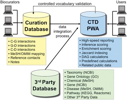 CTD/PostgreSQL logical database architecture. CTD is logically comprised of three major databases: Curation Database (yellow), 3rd Party Database (green) and Public Web Application (PWA) Database (blue). Biocurators, via the web, submit manually curated interactions and information that end up in the Curation Database. The 3rd Party Database contains data extracted from external sources (e.g., NCBI, GO, MeSH, OMIM, etc.). The PWA Database is loaded on a monthly basis and represents an integration of the Curation Database and the 3rd Party Database and is designed as a high-speed reporting database with selective denormalizations and data rollups. The PWA Database also contains novel, associative data (e.g. calculations for inference scores, enrichment scores, and Jaccard indexing, etc.). Users access CTD via the PWA.