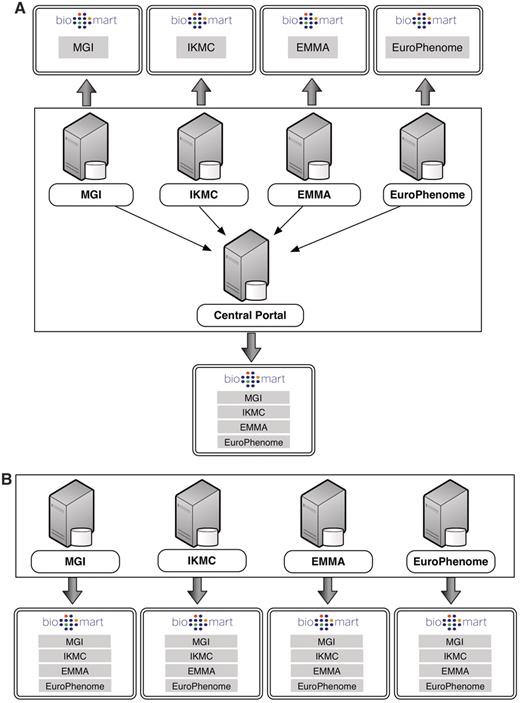 BioMart Portal architecture. The BioMart Portal can be deployed in either of two different types of server architectures. In the ‘master/slave’-like architecture (A) each ‘slave’ server only provides access to its own local data, while the ‘master’ server acts as a portal presenting a unified view over data residing on all the ‘slave’ servers. In the ‘peer-to-peer’-like architecture (B) each server not only provides data access to its own data source, but also data from all other servers. In this way, every server acts as a data portal providing access to all the data.